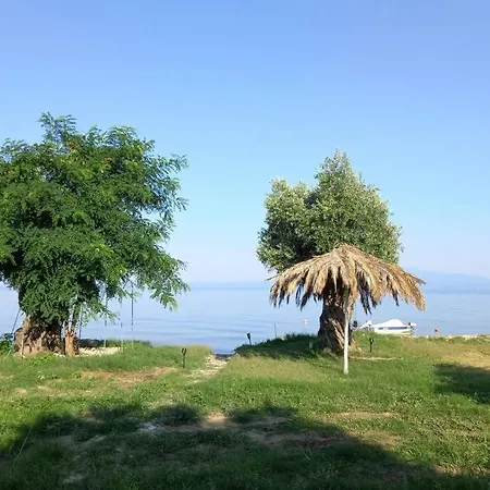 Crazy House Ormos Prinou (Thasos)